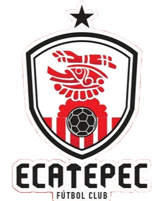 https://img.fashaoge.com/img/football/team/f8fefa1062b7f72982263757680421c0.png